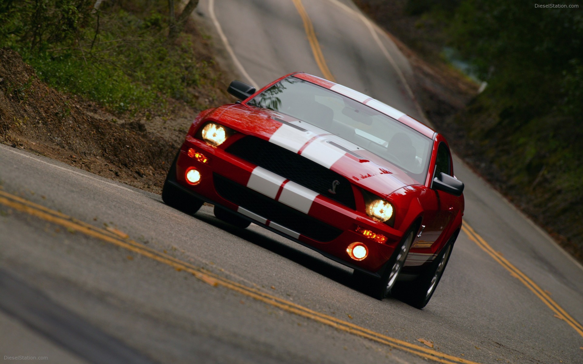 Ford Shelby Cobra GT500